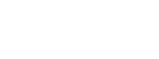 Correias para motos